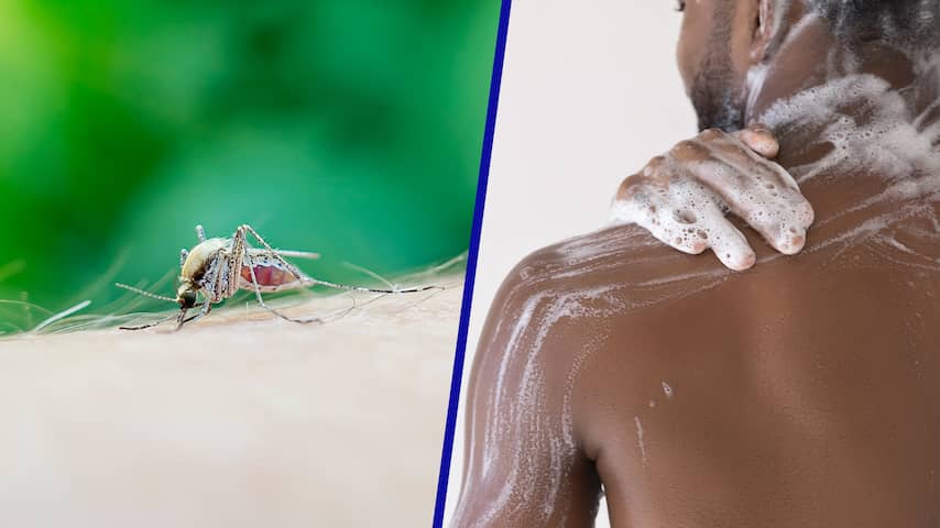 Als je vaak wordt gebeten door muggen, kan dat aan je zeepkeuze liggen