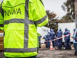 Dit moet je weten over de besmettelijke vogelgriepvariant H5N8