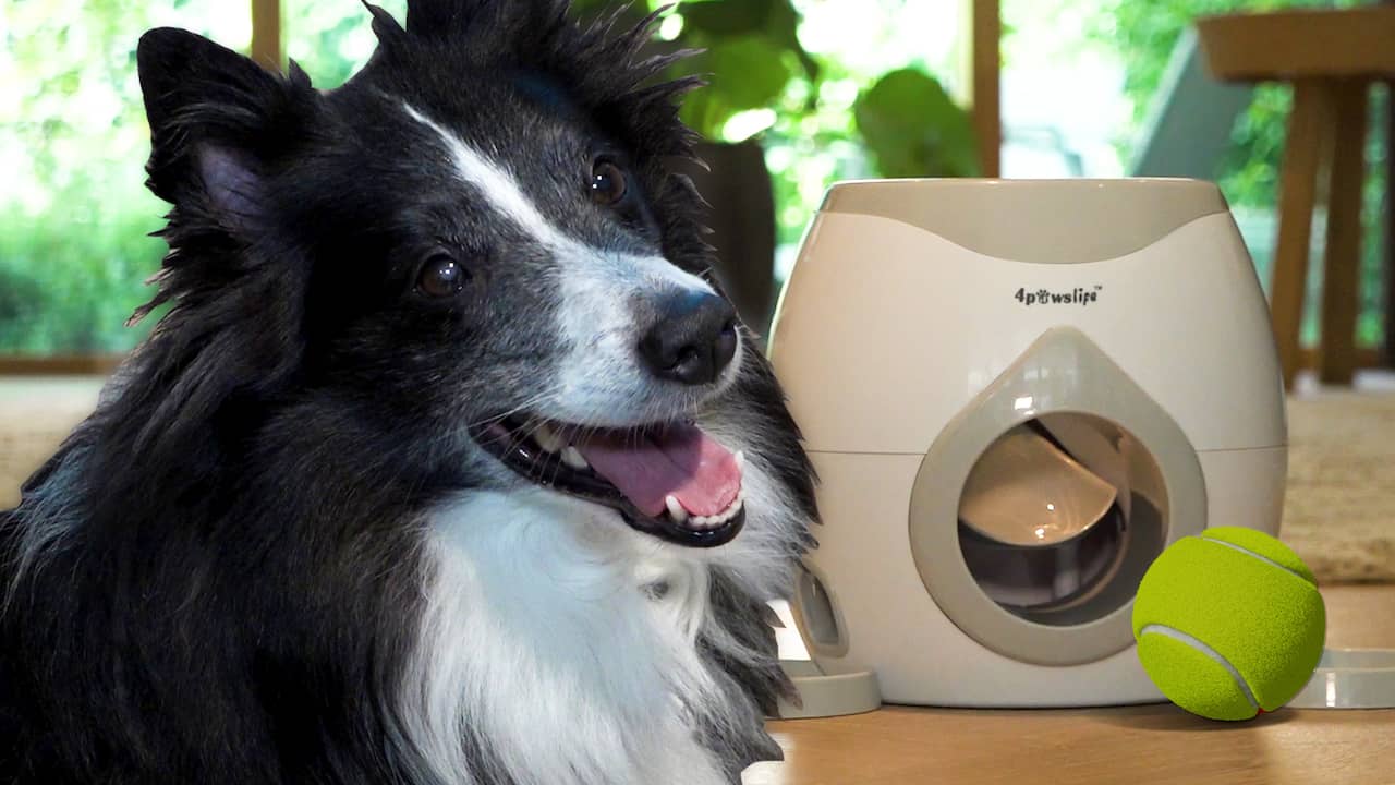 Beeld uit video: Prul of Praal? Is hondenkoekjesmachine goed dierendagcadeau?