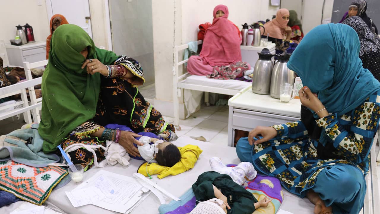 Le organizzazioni umanitarie sospendono il lavoro in Afghanistan dopo il nuovo regime talebano |  All’estero