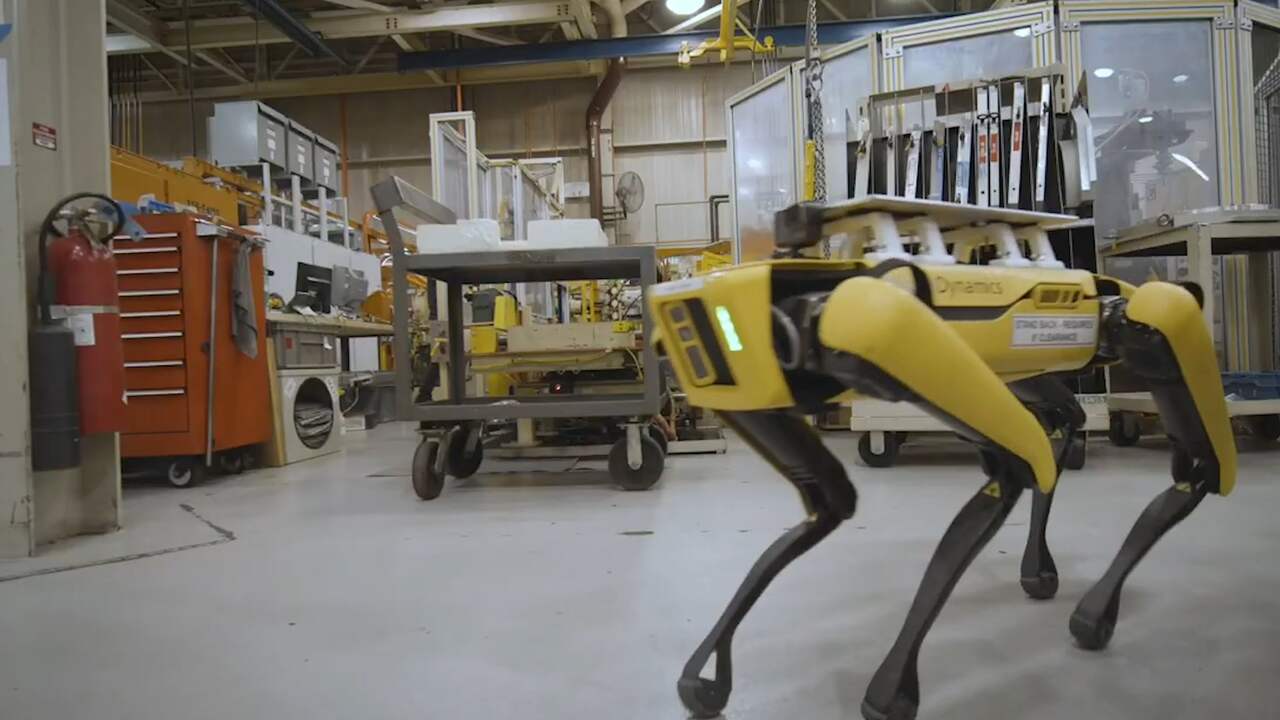 ford robot dog