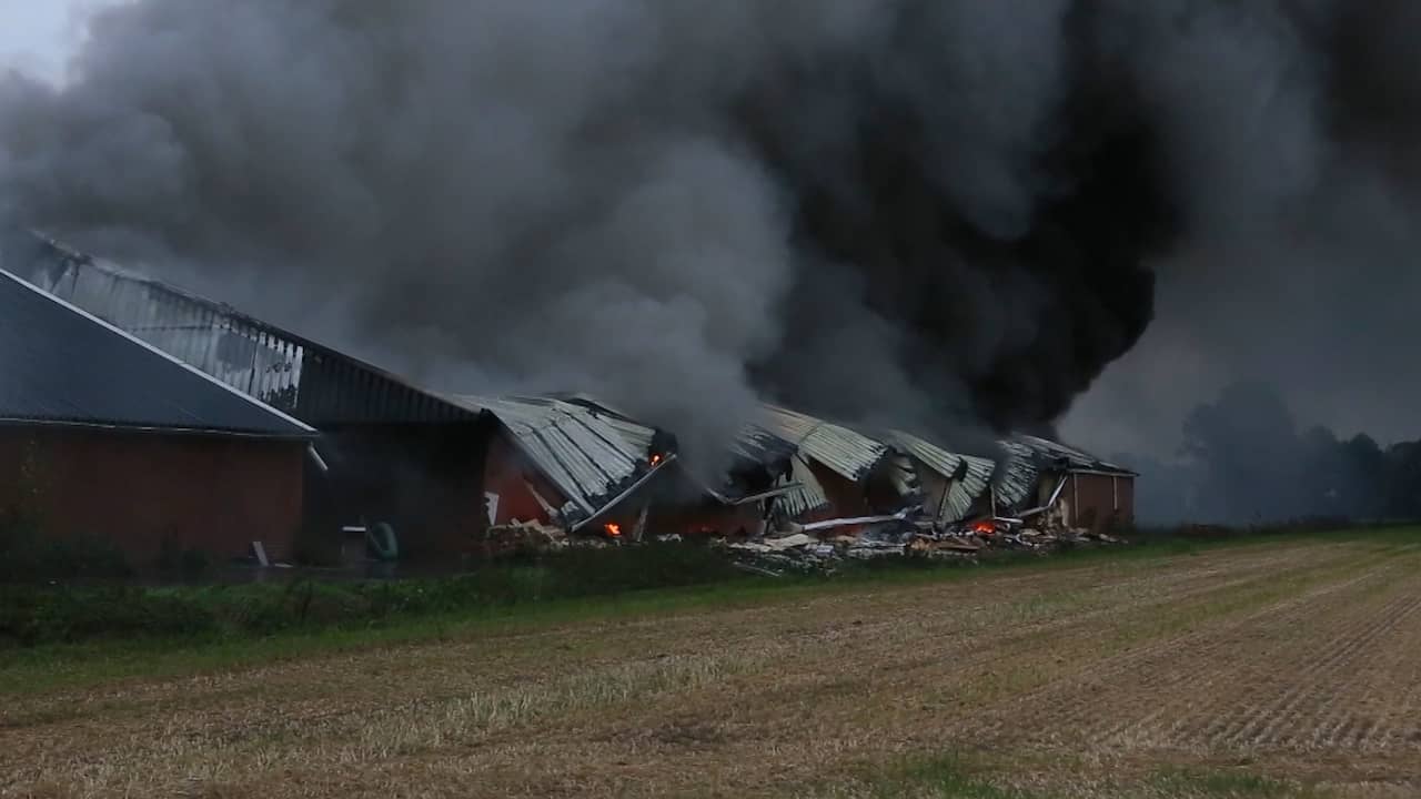 Beeld uit video: Duizenden varkens omgekomen bij brand in stal Brabant