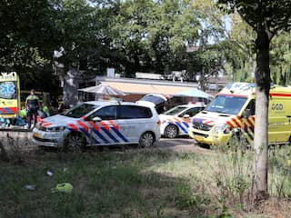 In Delft doodgeschoten man is crimineel Karel Pronk