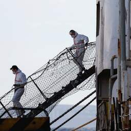 Gigantische drugsvangst ter waarde van 114 miljoen dollar op schip vol dieren