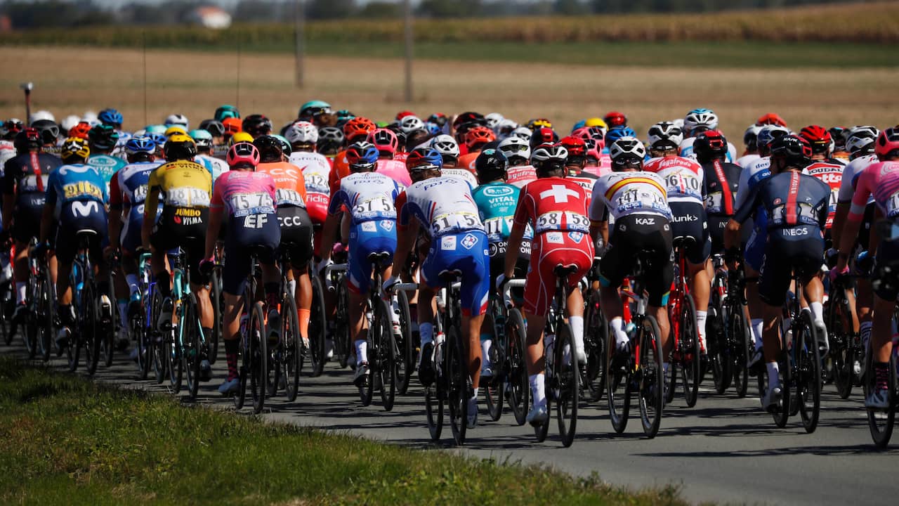 All riders in Tour de France test negative for coronavirus again |  NOW