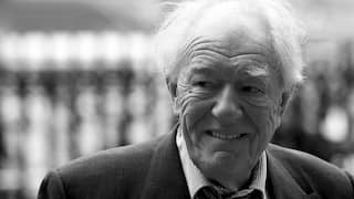Vertolker van Albus Perkamentus Michael Gambon overleden