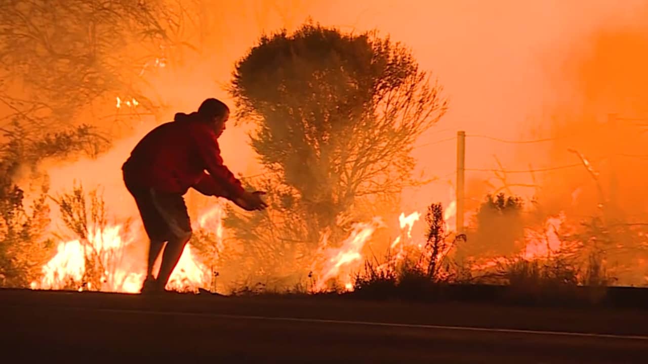Beeld uit video: Man redt konijn van hevige bosbrand in Los Angeles