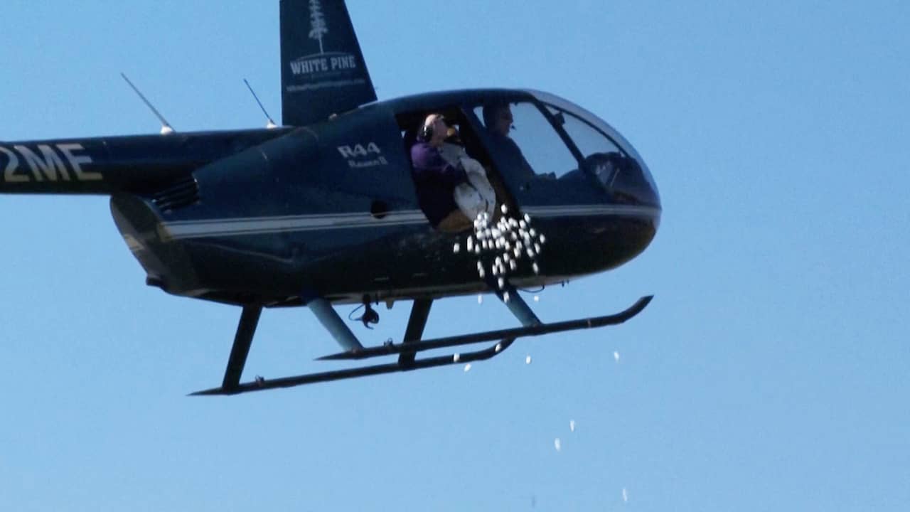Beeld uit video: Helikopter dropt duizenden marshmallows in Amerikaans park
