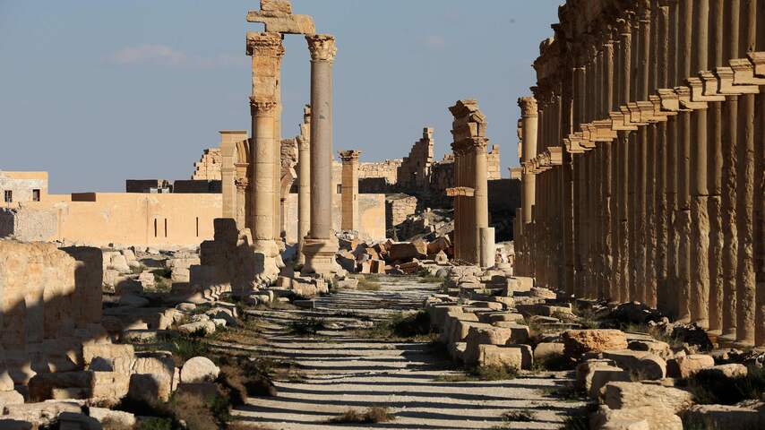 Palmyra