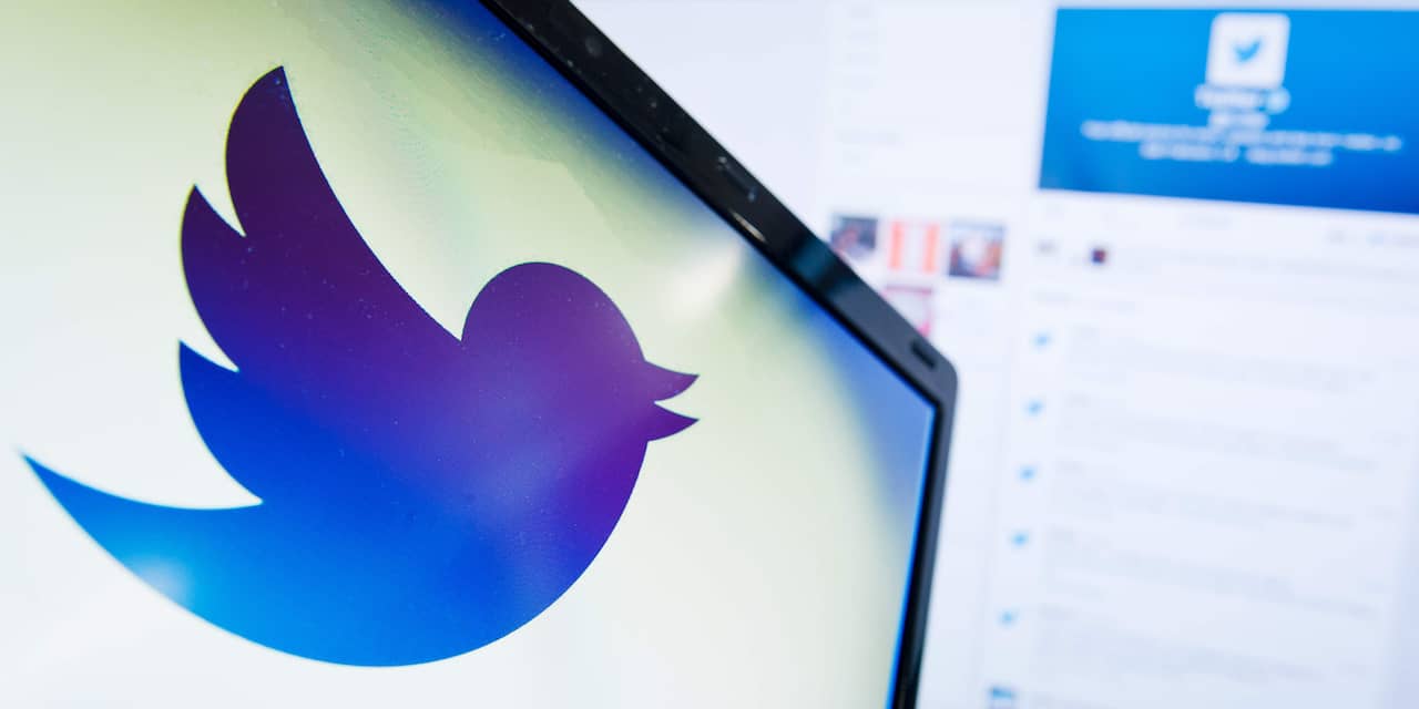 Twitter neemt Nederlandse nieuwsbriefmaker Revue over