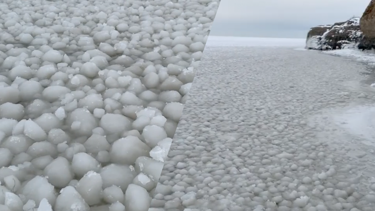 Beeld uit video: Duizenden zeldzame ijsballen bedekken plots meer in Canada