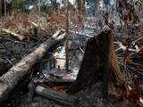 Brazilië weigert geld van G7-landen voor bestrijding Amazonebranden