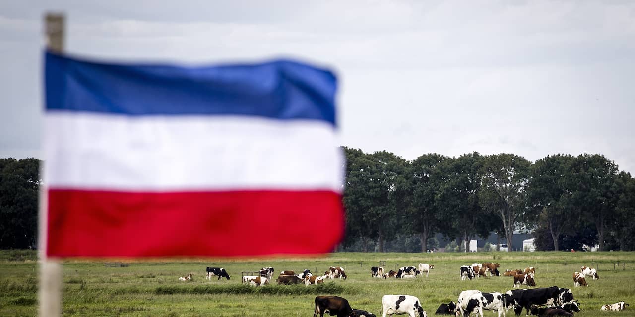 Boerenprotest: gigantische omgekeerde vlag langs de snelweg bij Maassluis