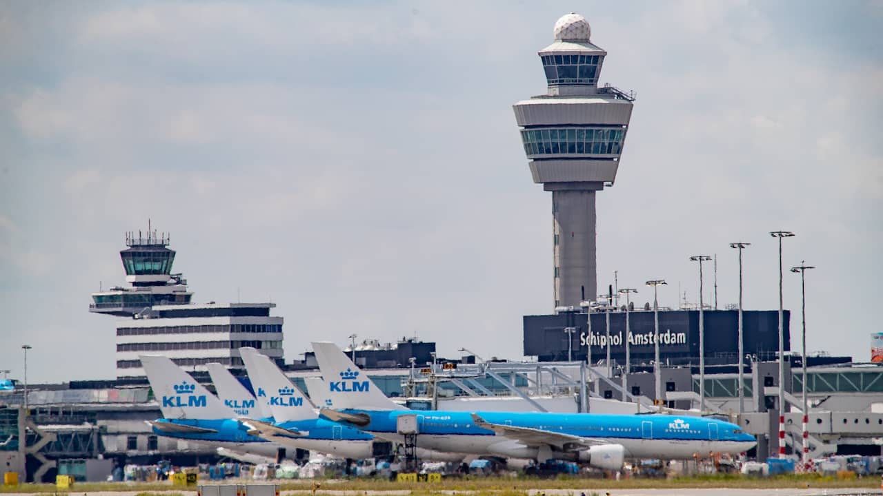 Cat Found At Schiphol After Week After Escaping From Cage In Baggage Depot Teller Report