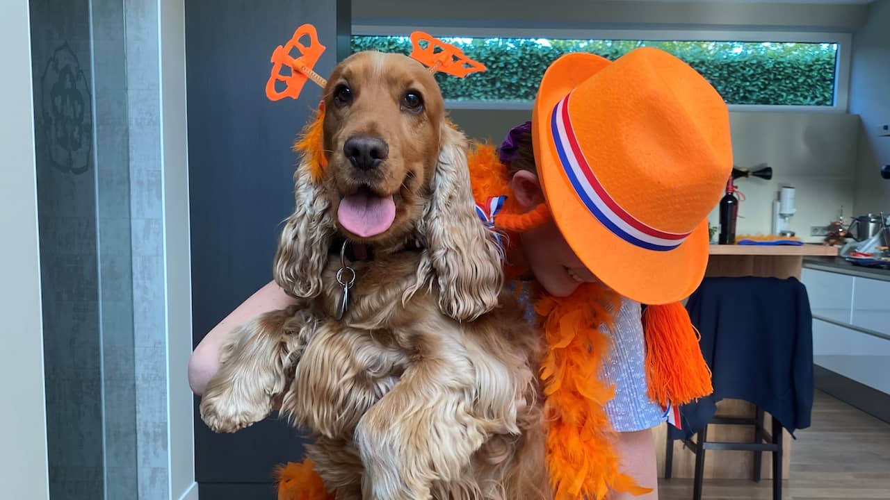 This is how you celebrate King’s Day abroad: “Our French hangouts are orange” |  outside