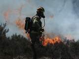 Evacués Limburgs Herkenbosch kunnen door natuurbrand nog niet naar huis