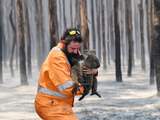 Australische branden komen wel vaker voor: dit maakt ze dit keer zoveel dodelijker