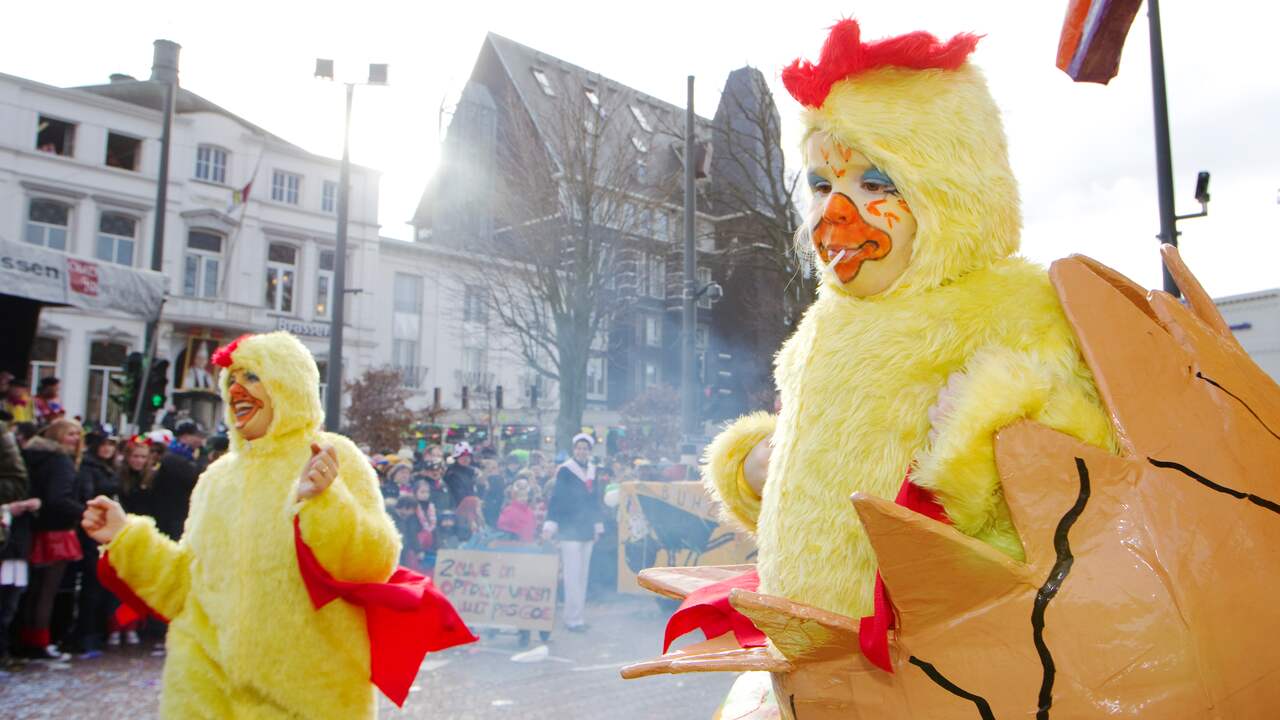 Zonnig carnaval voor jeugd Middelrode