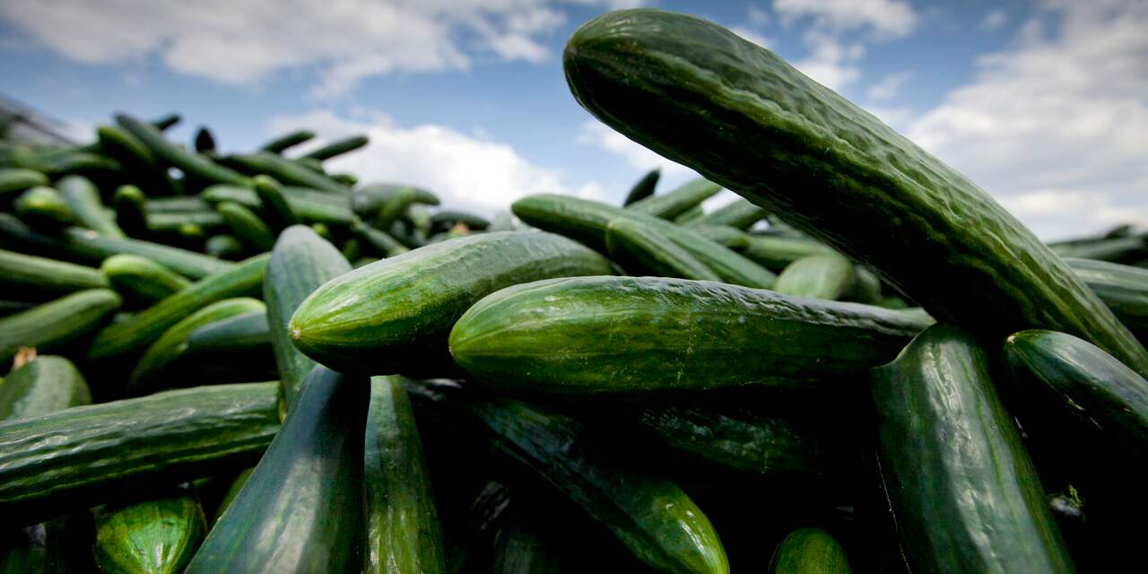 Zonder deal worden komkommer, sla en gehakt flink duurder voor Britten