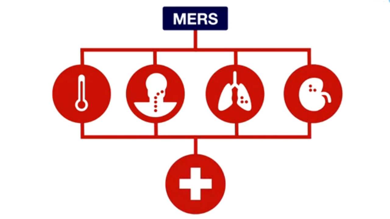 Beeld uit video: In 60 seconden: Wat is het MERS-virus?
