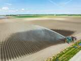 Klimaatvraag: Hoe maken we ons land beter bestand tegen droogte?