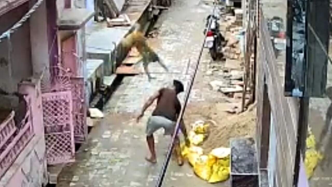 Beeld uit video: Aap pakt stenen gooiende man terug in India