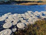 Zeldzame, perfect ronde 'pannenkoekjes' van ijs gespot in Schotse rivier