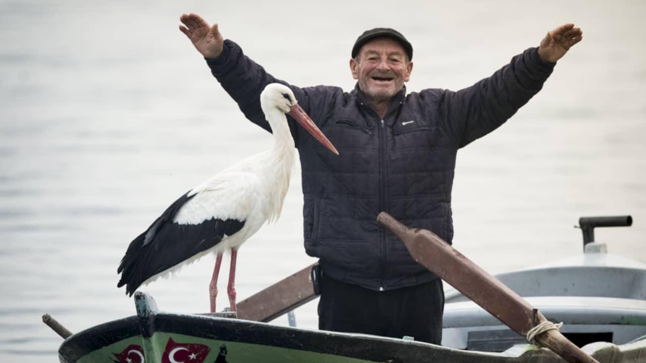A Turkish fisherman receives a visit from the same stork for the thirteenth year in a row |  outside