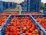 'Aardbeien bevatten meer schadelijke stoffen dan andere fruitsoorten'