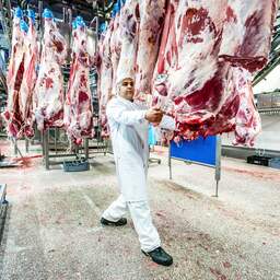 NVWA wil meer aandacht van slachthuizen voor verontreiniging van vlees