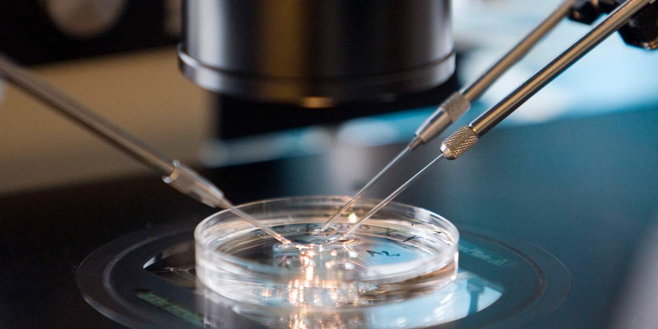 Nederlandse onderzoekers maken modelembryo uit stamcellen