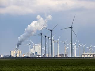 Kritiek op biomassa groeit: CO2-uitstoot hoger dan bij steenkoolcentrales