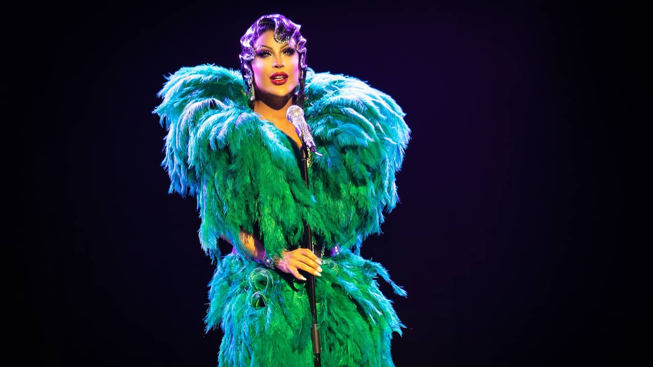 Dragqueen Envy Peru: “Il drag è un’arte, non tutti lo capiscono ancora” |  Media
