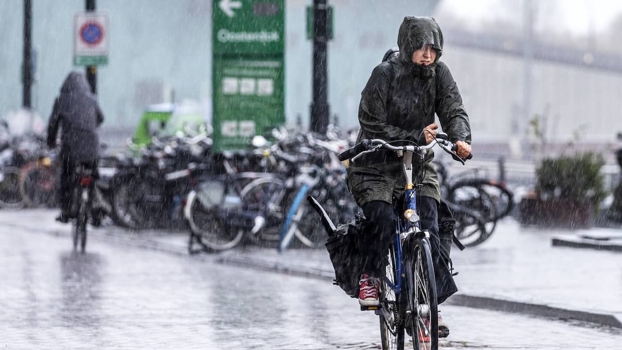 2023: The Second Wettest Year on Record in the Netherlands