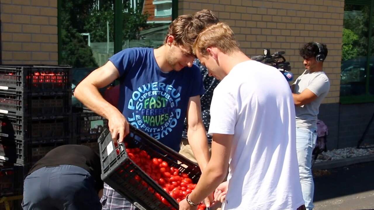 Beeld uit video: Nederlanders laden emmers vol met gratis tomaten