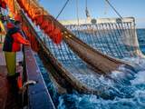Europese lidstaten stemmen in met verbod op pulsvisserij vanaf 2021