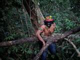 Vierde inheemse man gedood in Brazilië: 'Straffeloosheid regeert'
