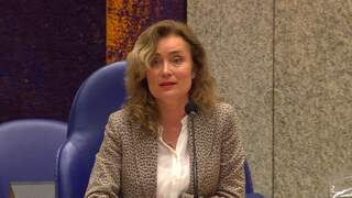 Kamervoorzitter: 'Zit hier namens de firma Bergkamp en niet D66'