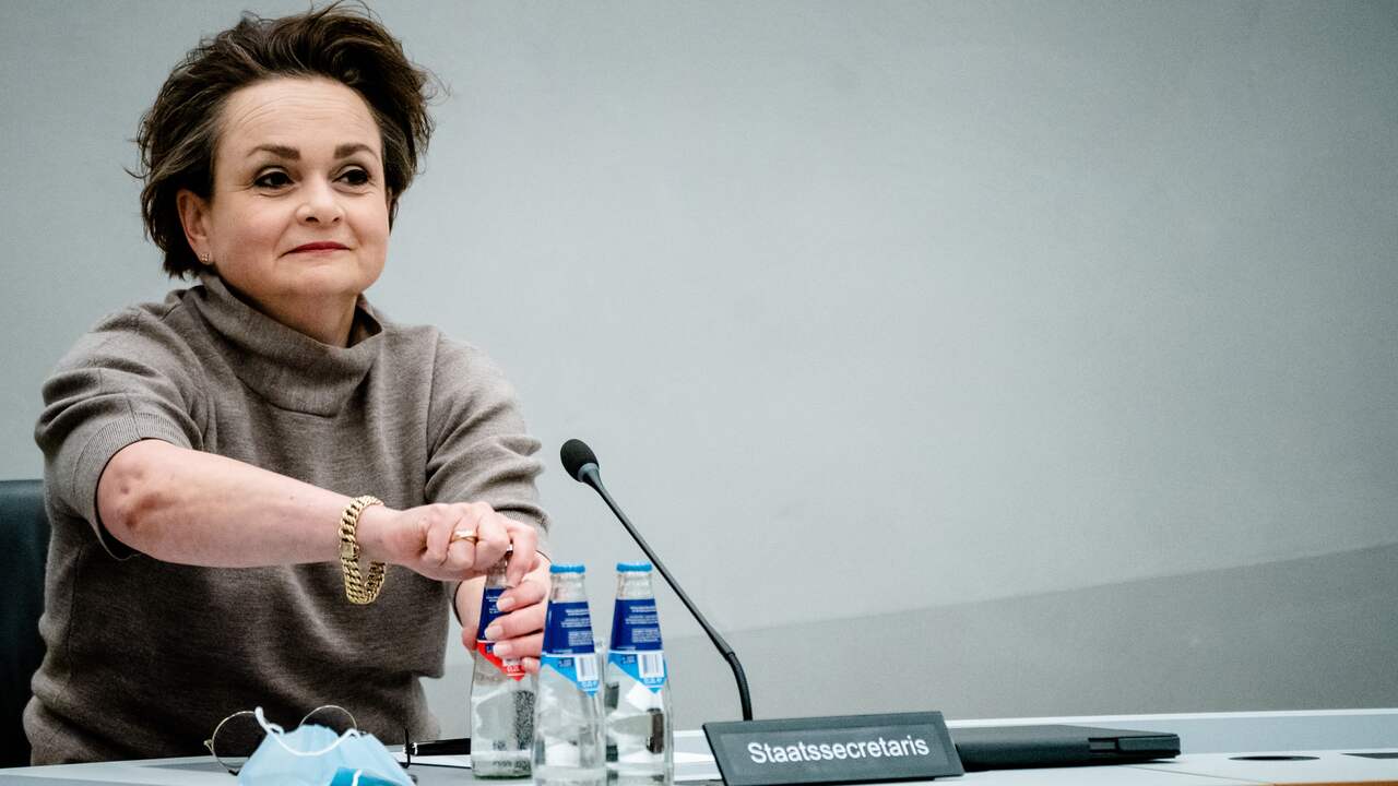 Wat Is Een Minister Wat doet een staatssecretaris en wat is het verschil met een minister