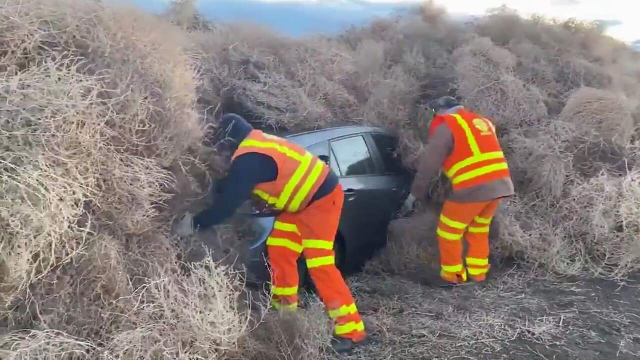 Auto's in VS volledig bedolven onder berg tuimelkruid