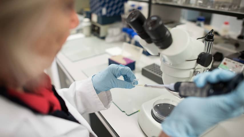 Onderzoekers kweken werkende dunne darm uit stamcellen