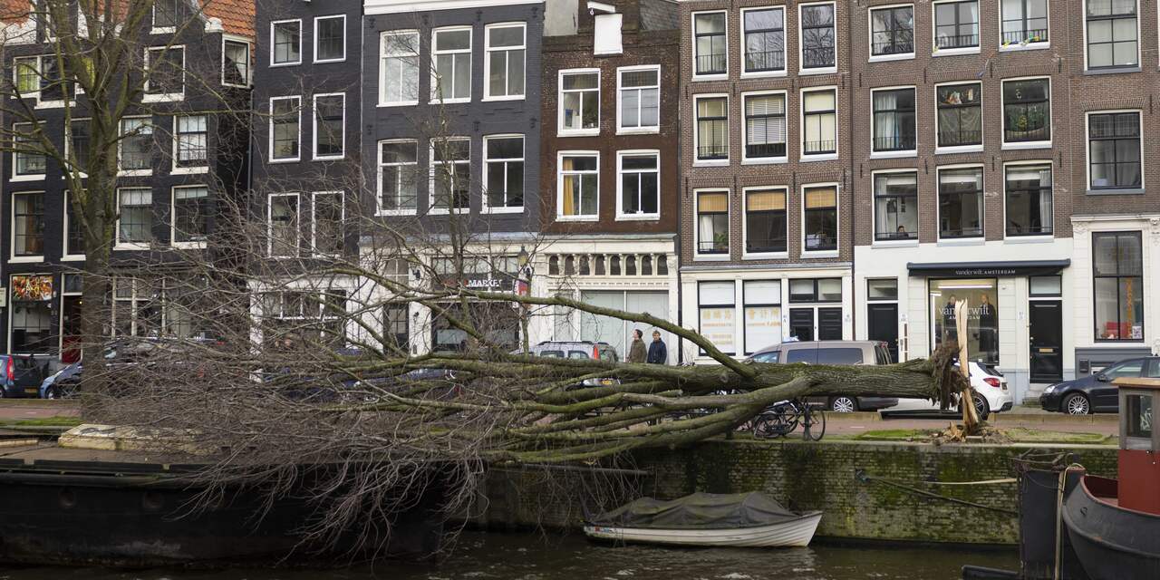 Doden in Amsterdam en Diemen door omgewaaide bomen