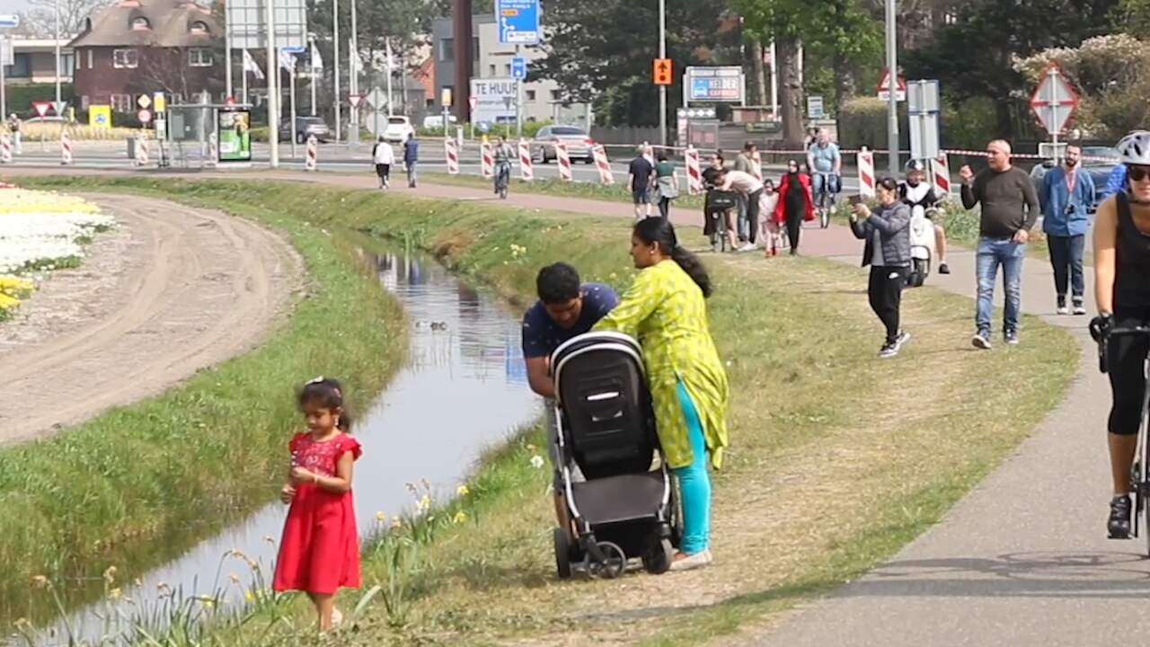 Beeld uit video: Drukte bij bollenvelden in Lisse ondanks oproep burgemeester