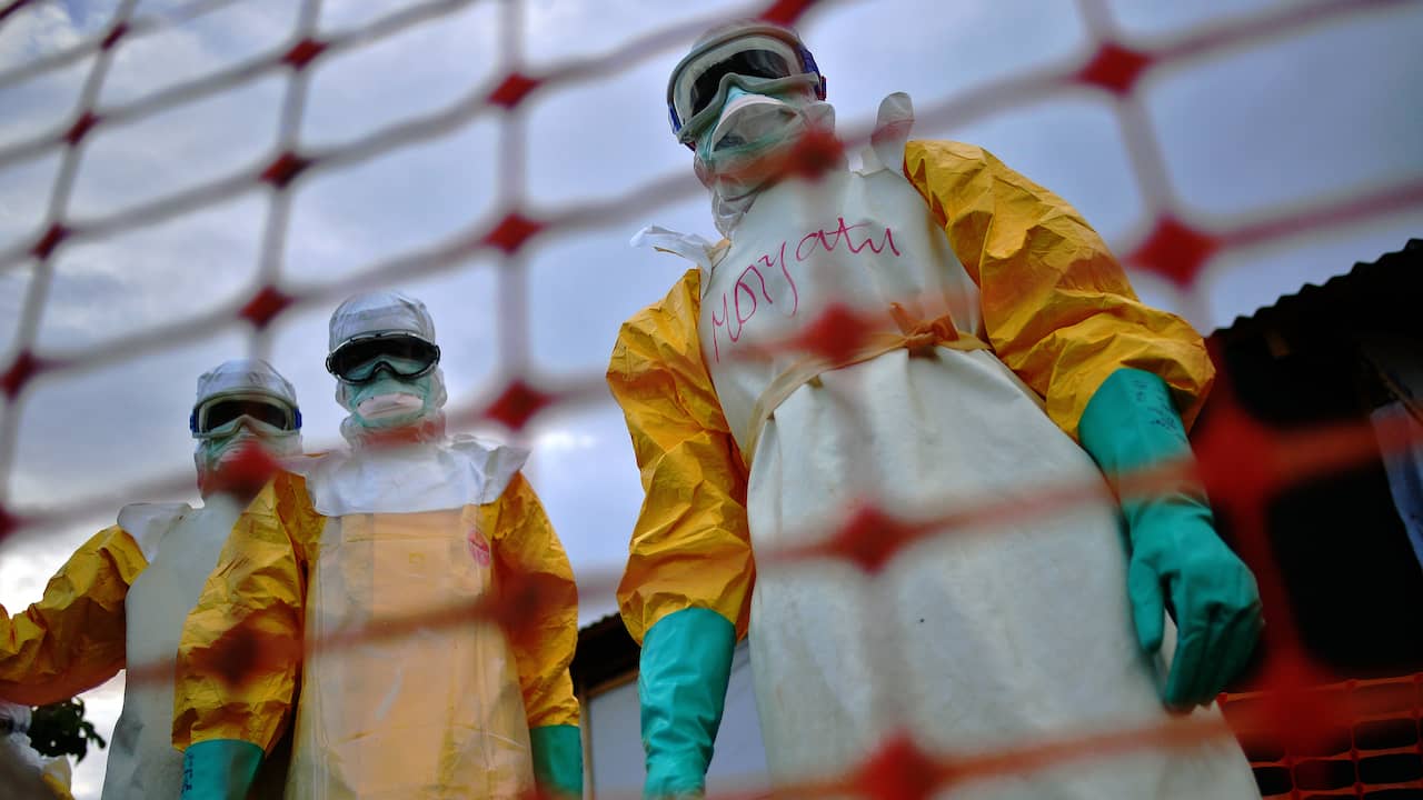 Hoe ebola het lichaam aanvalt