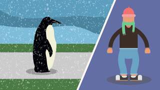 Niet uitglijden bij gladheid? Doe een pinguïn na