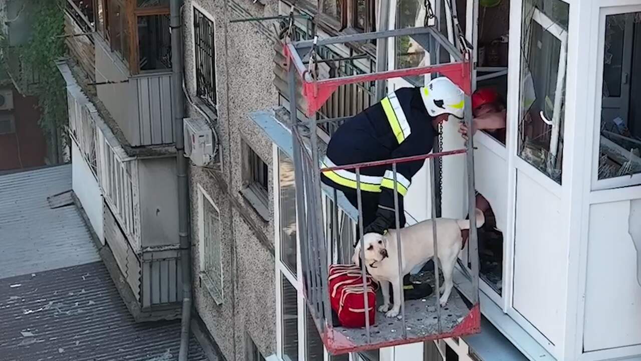 Beeld uit video: Hulpdiensten redden hond uit verwoeste flat in Mykolajiv