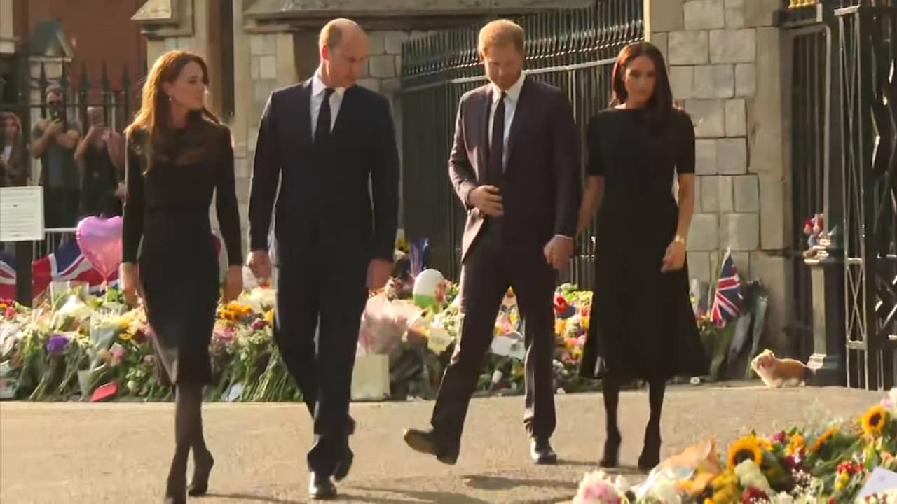 Beeld uit video: Prinsen William en Harry bekijken bloemenzee bij Windsor Castle