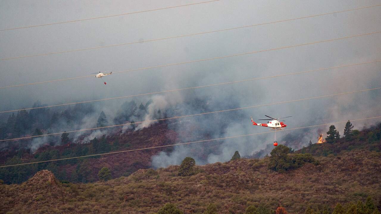 Major Wildfire Evacuates Four Villages on Tenerife: Latest Updates