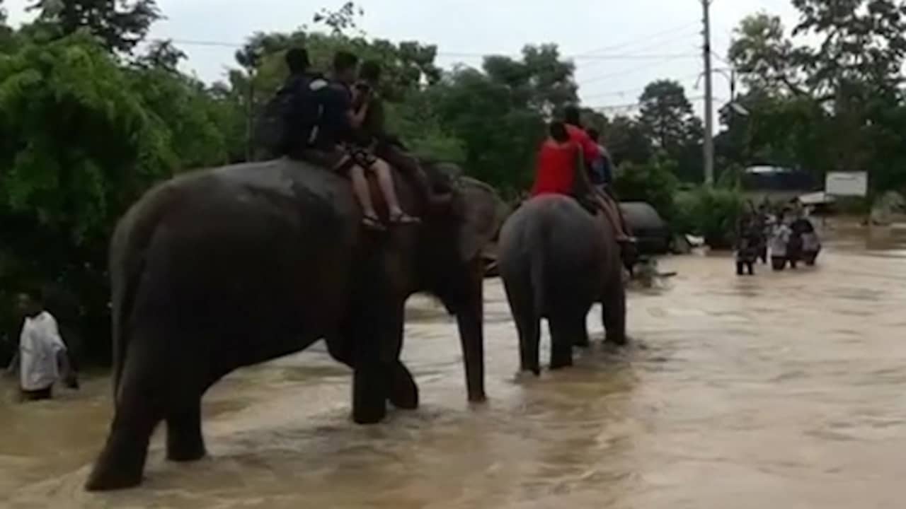 Beeld uit video: Olifanten helpen bij evacuatie toeristen na overstromingen in Nepal