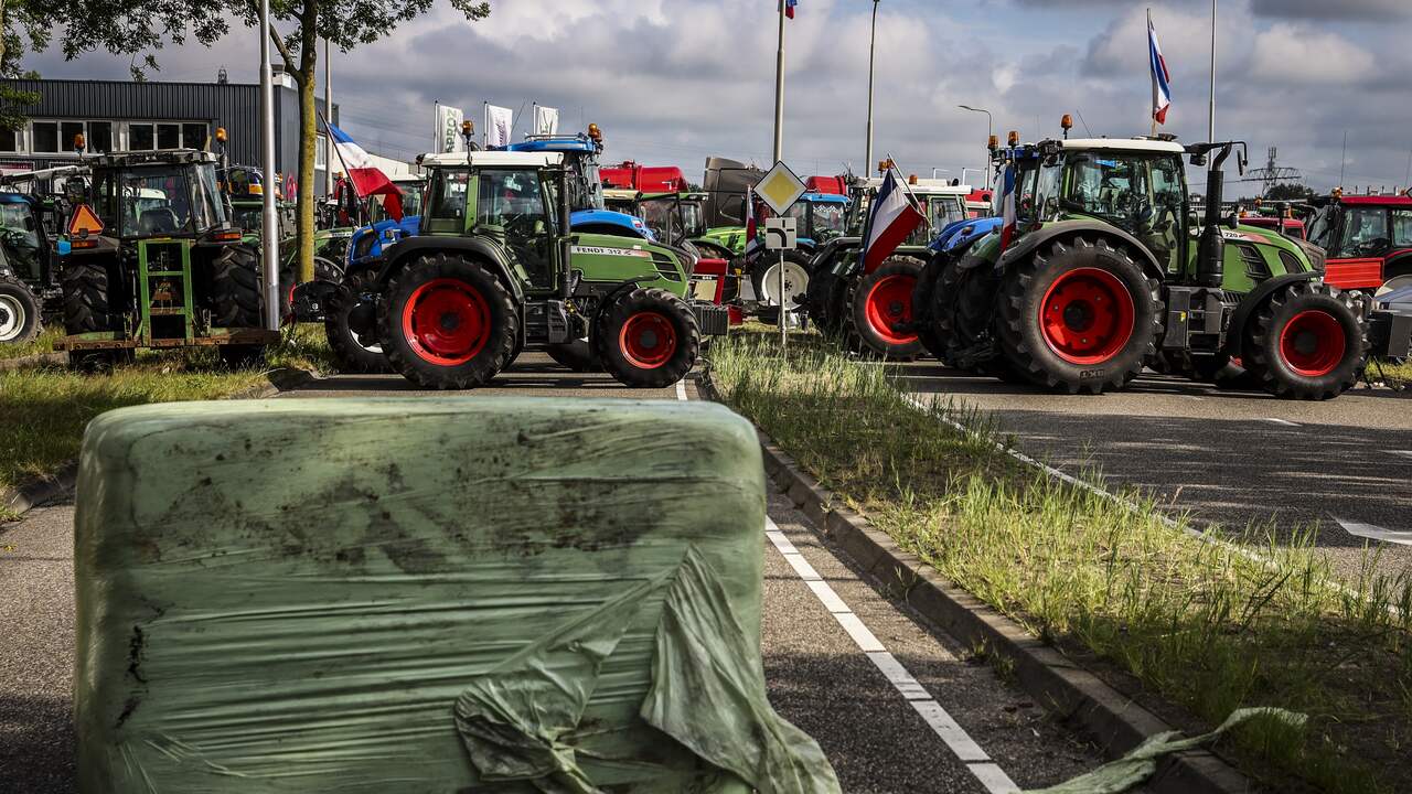 Community service for four rioters at farmer’s protest distribution center Zwolle  NOW